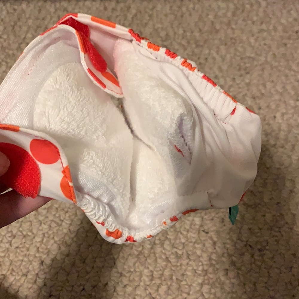 Lot of 11 Cloth Diapers - Thirsties, Swaddlebees, Totbots & Rumparooz - Picture 7 of 16